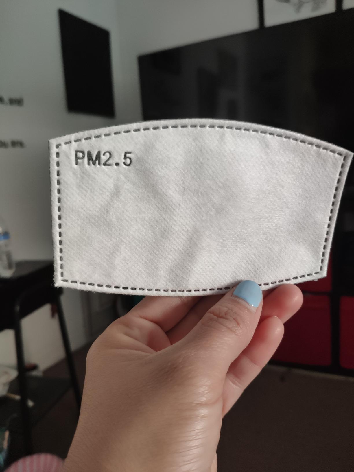 40pcs Adults Size Adaptive Activated Carbon Fabric Filtration 5-Layer PM2.5 Filter Pad Insert Value Pack DIY Craft Anti-Dust Anti-Haze Anti-Pollution for Outdoor Activities for Men Women - Customer Photo 1