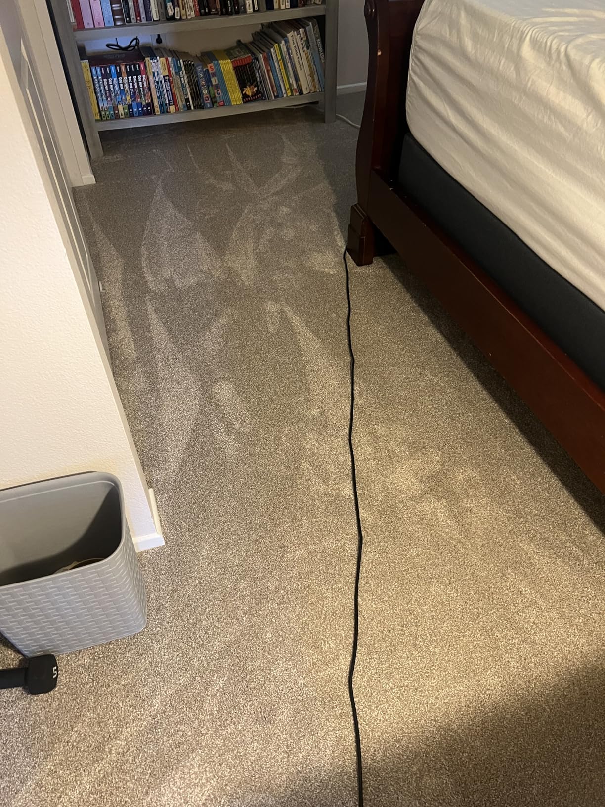 Shark LA502 Rotator Lift-Away Upright Vacuum Cleaner Customer Review Shark LA502 Rotator Lift-Away Upright Vacuum Cleaner - Customer Photo 1