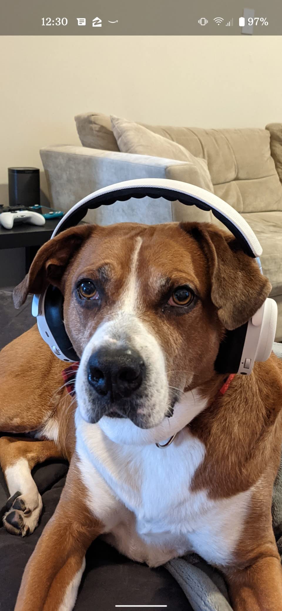 MG20 Wireless Gaming Headphones - Galactic White Customer Review MG20 Wireless Gaming Headphones - Galactic White - Customer Photo 1