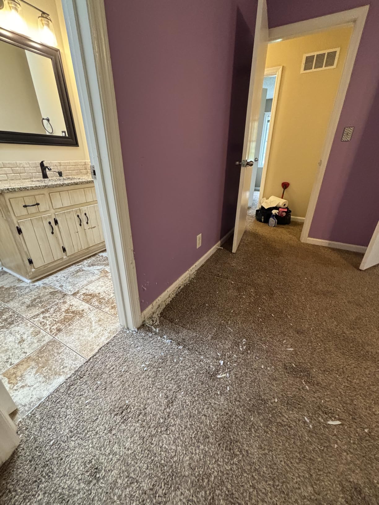 BISSELL CleanView Upright Bagless Vacuum Cleaner with Active Wand, 3536 - Customer Photo 2