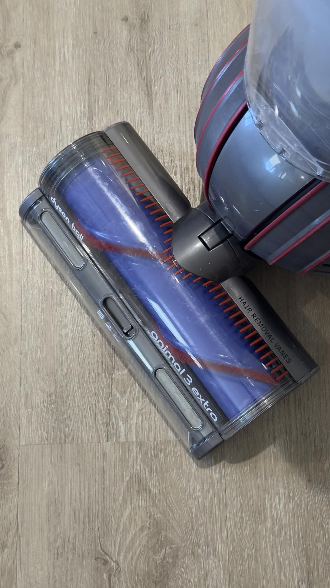 Dyson Ball Animal 3 Upright Vacuum, Corded, 290AW, De-tangling Motorbar Cleaner Head for All Floors, 3 Suction Modes Customer Review Dyson Ball Animal 3 Upright Vacuum, Corded, 290AW, De-tangling Motorbar Cleaner Head for All Floors, 3 Suction Modes - Customer Photo 1