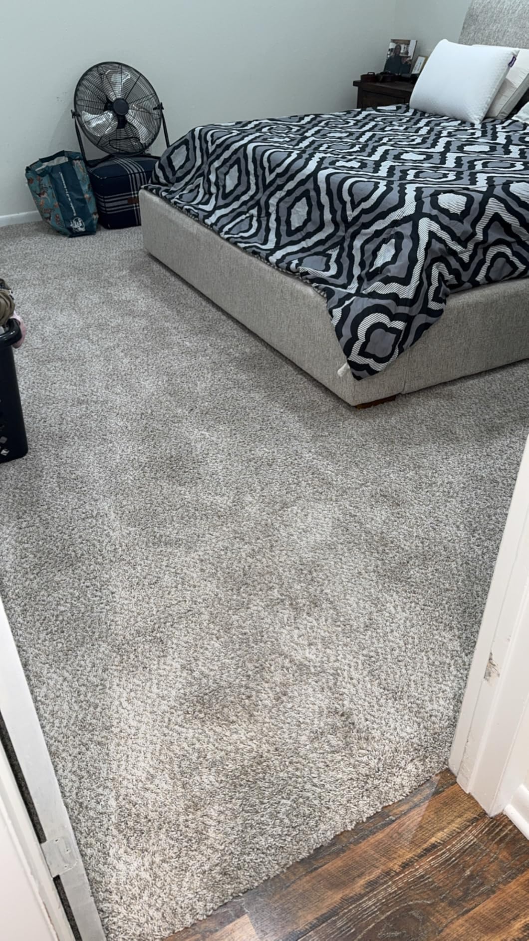 BISSELL ProHeat 2X Revolution Pet Pro Plus, 3588F, Upright Deep Cleaner, 30-minute Dry Time, Dual Dirt Lifter Powerbrush, Hose & Tool Attachment customer photo 1