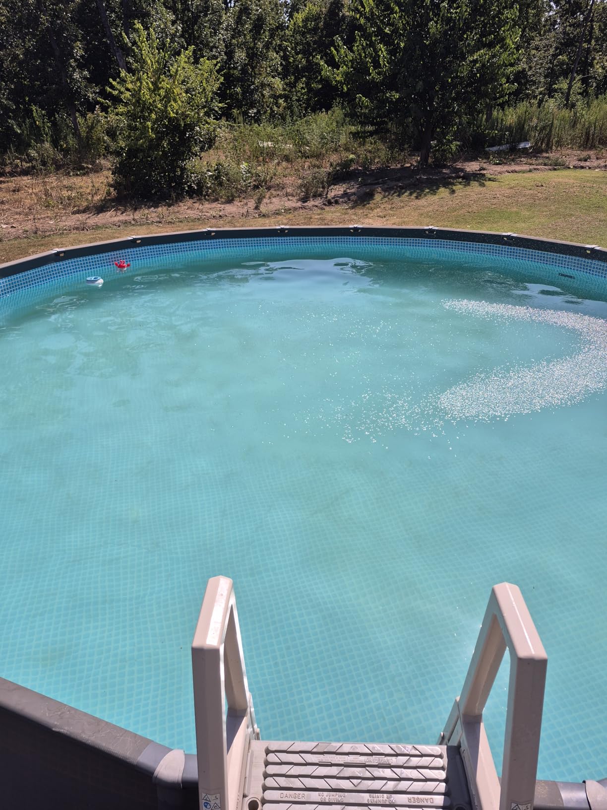 Pool Vacuum for Above Ground Pool with a Telescopic Pole, Running time up to 1H, T403 Handheld Rechargeable Pool Cleaner with Powerful Suction up to 18.5 gallons/min, Ideal for Leaves, Debris Customer Review Pool Vacuum for Above Ground Pool with a Telescopic Pole, Running time up to 1H, T403 Handheld Rechargeable Pool Cleaner with Powerful Suction up to 18.5 gallons/min, Ideal for Leaves, Debris - Customer Photo 1
