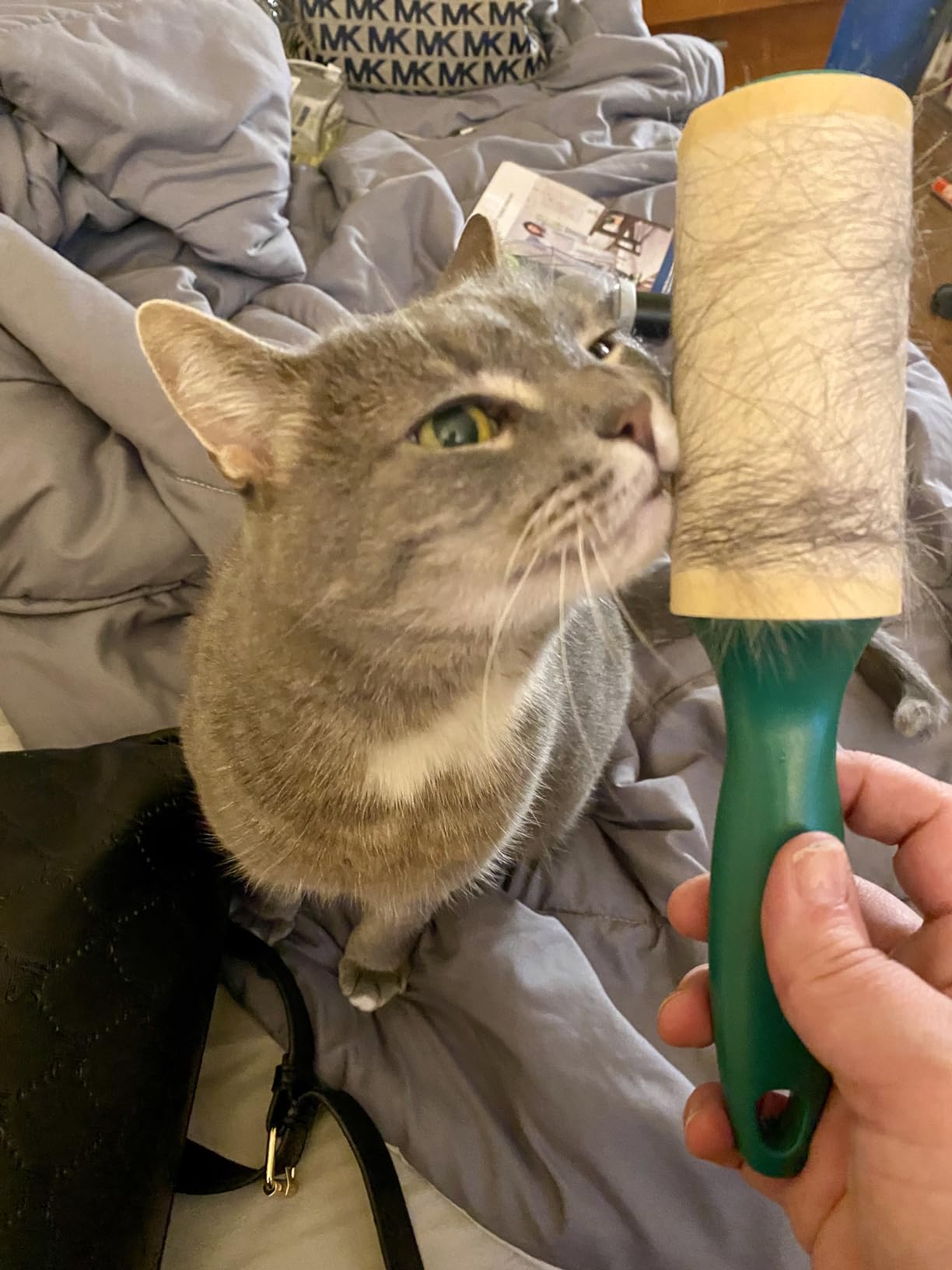BISSELL Pet Hair Eraser Turbo Lift-Off Vacuum, w/Self-Cleaning Brush Roll, HEPA Filtration, Powerful Pet Hair Pickup with TurboBrush Pivot Tool & LED-lit dusting Brush & Crevice Tool, 3774F - Customer Photo 1