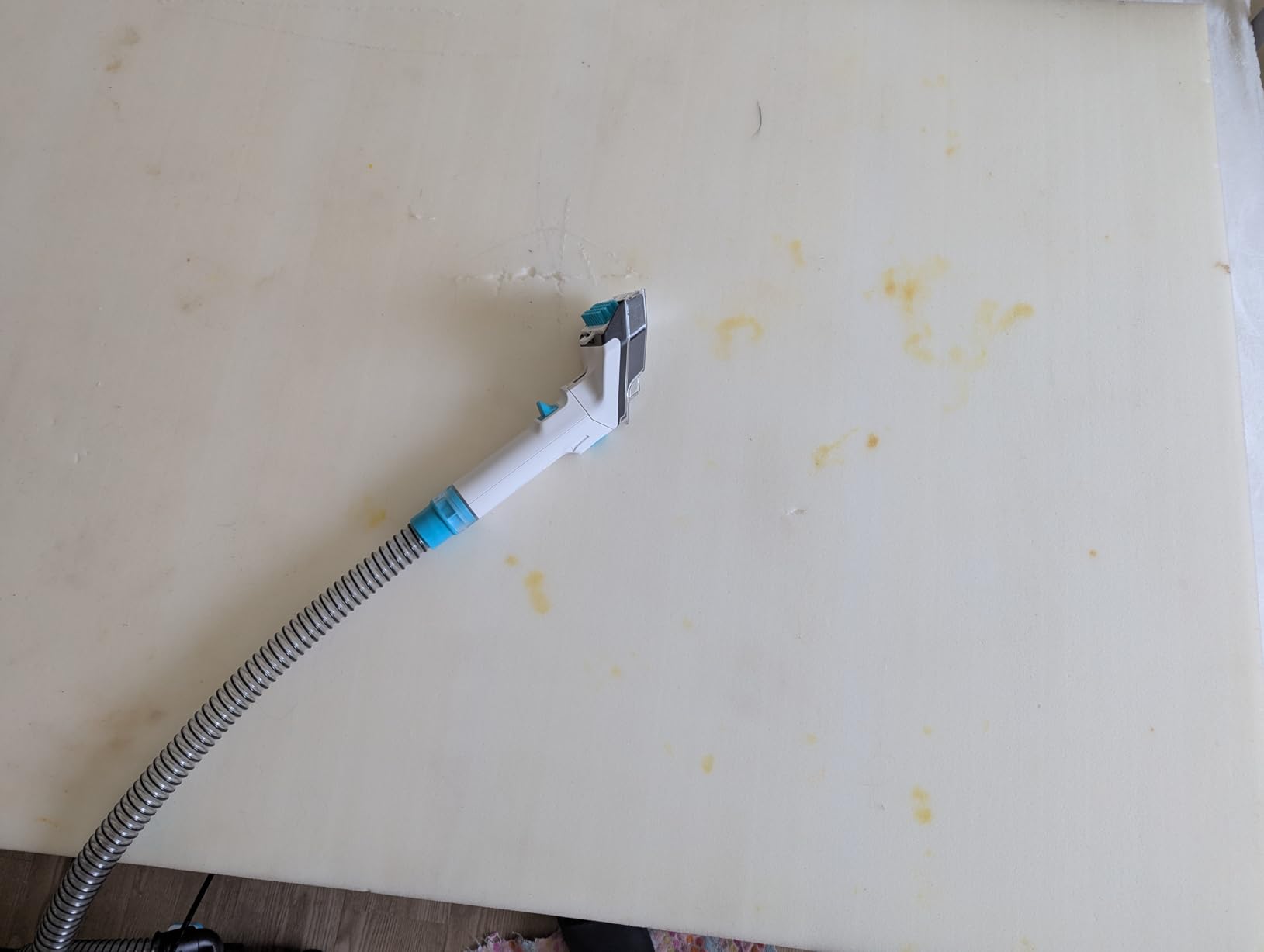 Shark CarpetXpert | Upright Carpet, Area Rug & Upholstery Cleaner | Carpet Shampooer with StainStriker Handheld Tough Stain Eliminator | Removes Tough Stains & Odors | 3 Cleaning Tools | White | EX201 customer photo 2