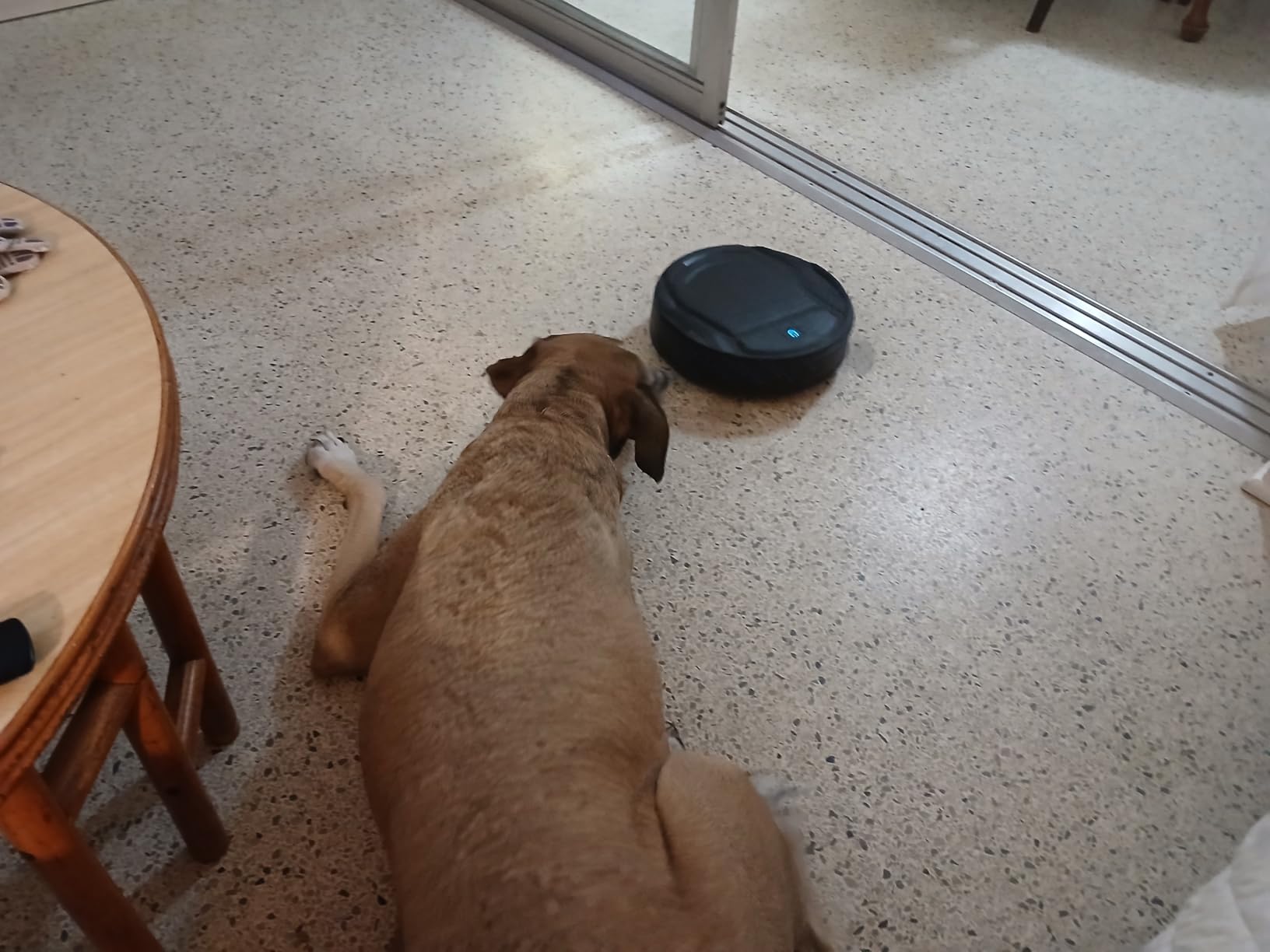 Lefant M210 Robot Vacuum Cleaner, 120-Min Runtime, Compact Design, Powerful Suction, Low Noise, Wi-Fi/App/Voice Control, Self-Charging, Scheduled Cleaning, Ideal for Pet Hair and Hard Floors, Black Customer Review Lefant M210 Robot Vacuum Cleaner, 120-Min Runtime, Compact Design, Powerful Suction, Low Noise, Wi-Fi/App/Voice Control, Self-Charging, Scheduled Cleaning, Ideal for Pet Hair and Hard Floors, Black - Customer Photo 1