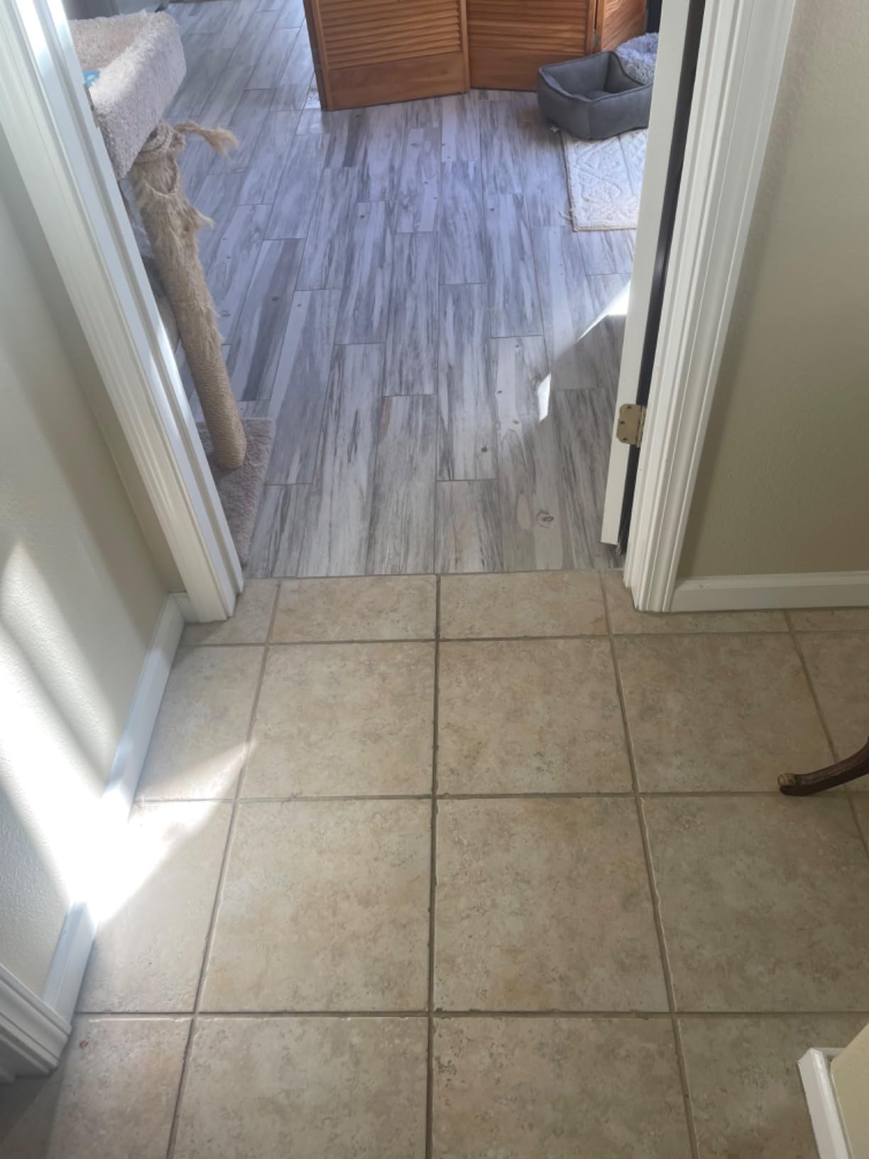 BISSELL® CrossWave® HydroSteam™ Deluxe Wet Dry Vac, Multi-Purpose Vacuum, Wash, and Steam, Formula Included, Green, 3515G - Customer Photo 1