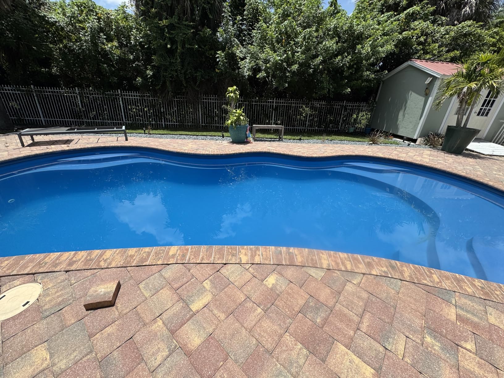 Polaris P925 Robotic Pool Cleaner Customer Review Polaris P925 Robotic Pool Cleaner - Customer Photo 2
