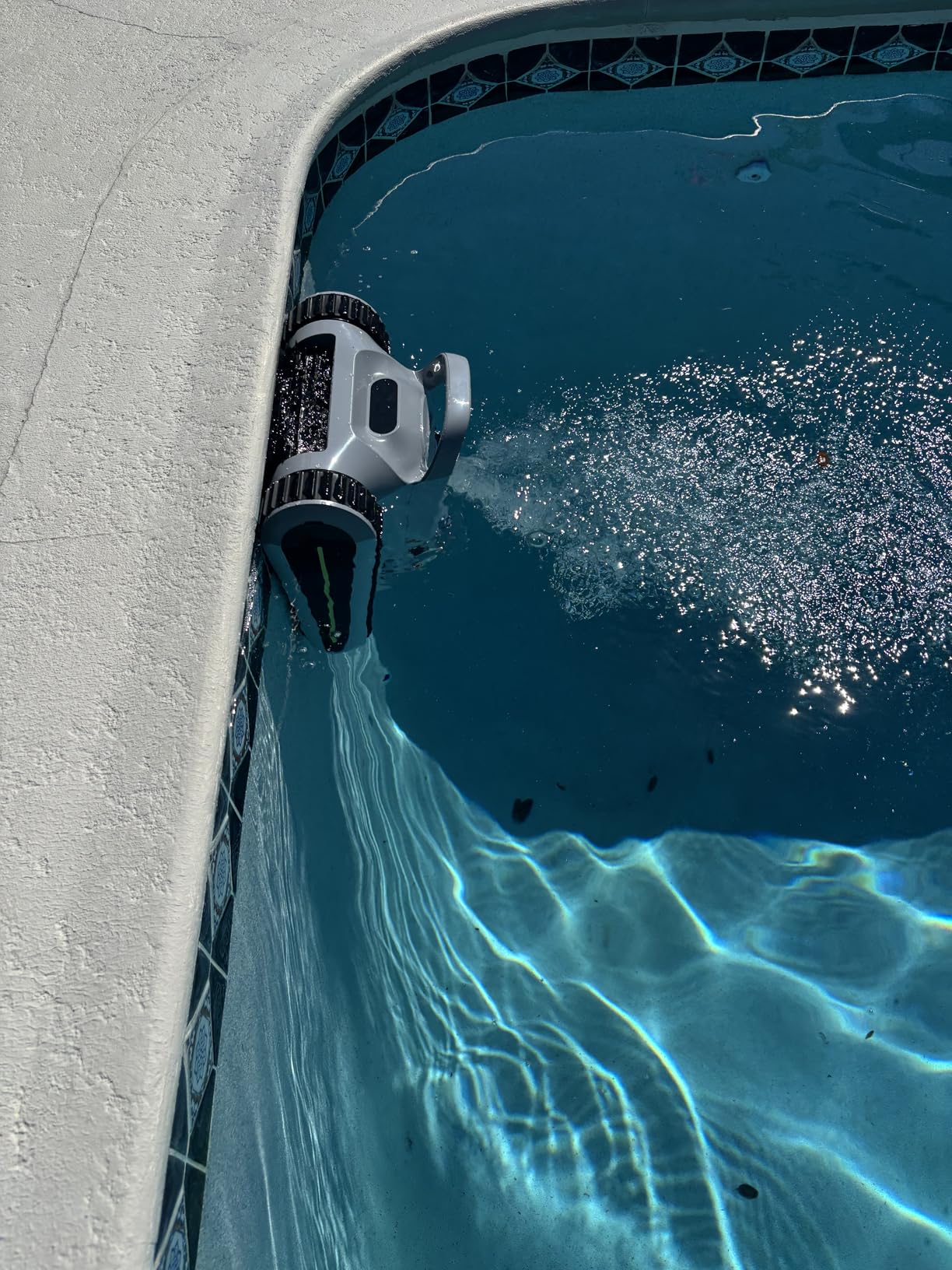 Dolphin Nautilus CC Plus Robotic Pool Cleaner Customer Review Dolphin Nautilus CC Plus Robotic Pool Cleaner - Customer Photo 2