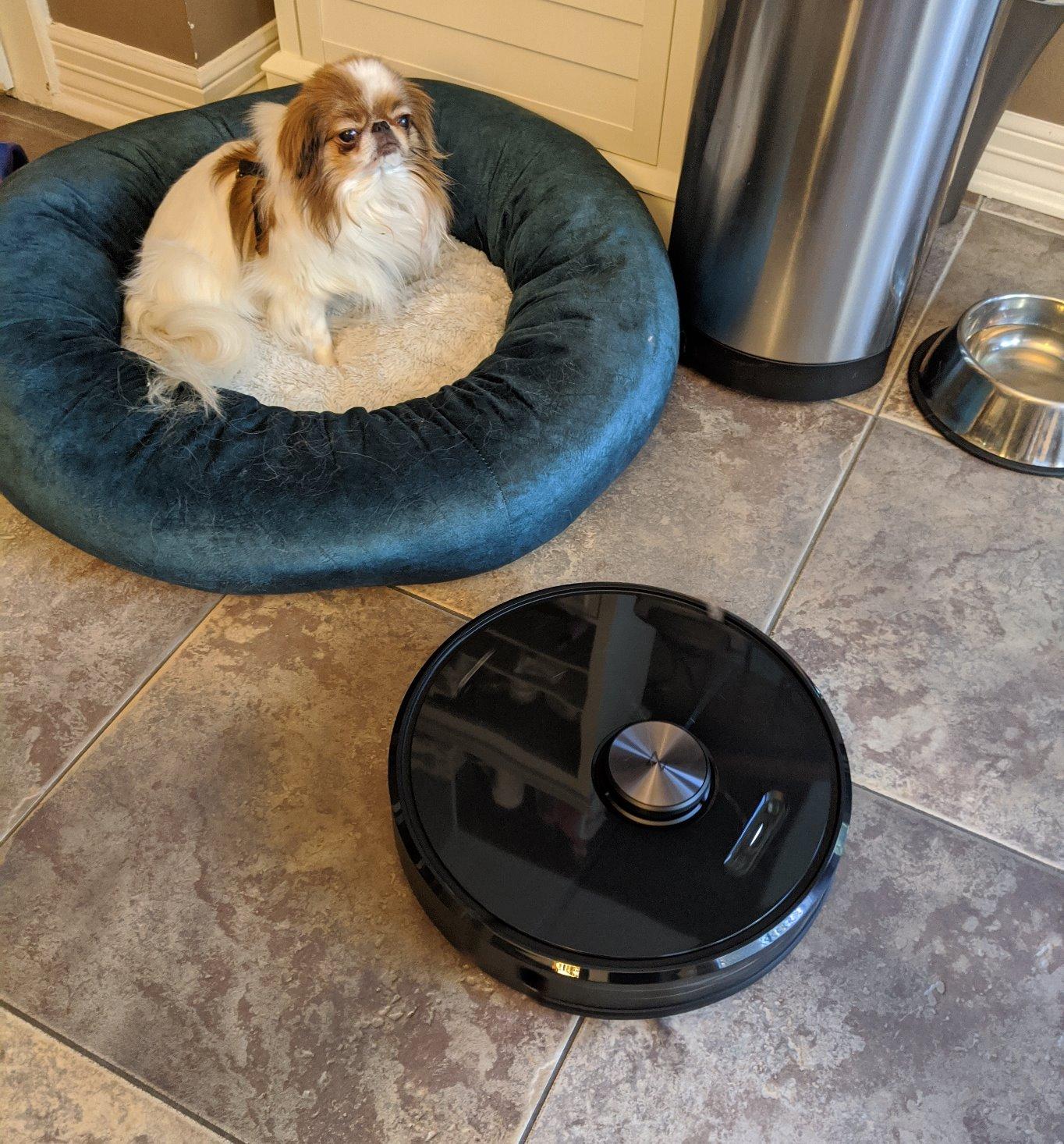 roborock Q7 L5 Robot Vacuum and Mop Combo, 8,000Pa Suction, Upgraded from Q5 Pro, Dual Anti-Tangle System, LiDAR Navigation, Multi-Level Mapping, Self-Charging Robotic Vacuum Cleaner, Black Customer Review roborock Q7 L5 Robot Vacuum and Mop Combo, 8,000Pa Suction, Upgraded from Q5 Pro, Dual Anti-Tangle System, LiDAR Navigation, Multi-Level Mapping, Self-Charging Robotic Vacuum Cleaner, Black - Customer Photo 2