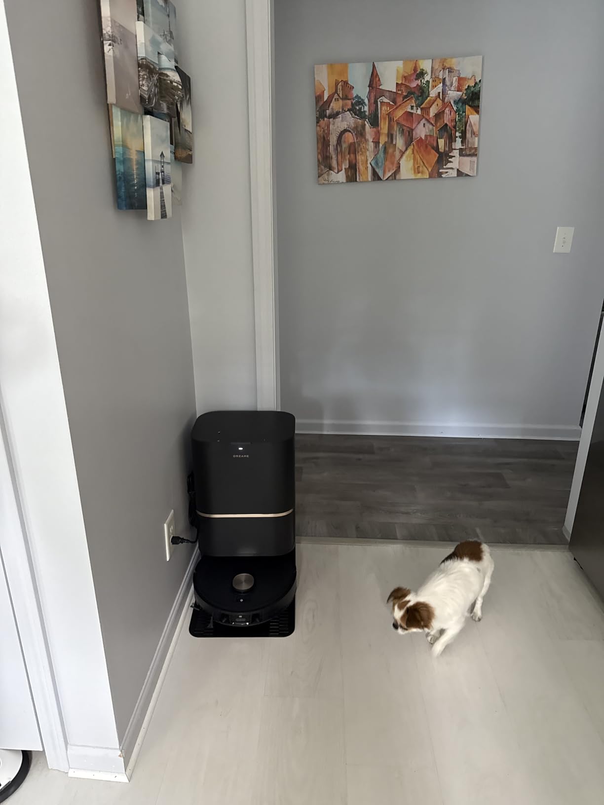 DREAME L50 Ultra Robot Vacuum and Mop White, 19,500Pa Suction, with Auto-Empty and Mop Self-Cleaning, Precise Obstacle Avoidance, HyperStream Detangling DuoBrush Customer Review DREAME L50 Ultra Robot Vacuum and Mop White, 19,500Pa Suction, with Auto-Empty and Mop Self-Cleaning, Precise Obstacle Avoidance, HyperStream Detangling DuoBrush - Customer Photo 1