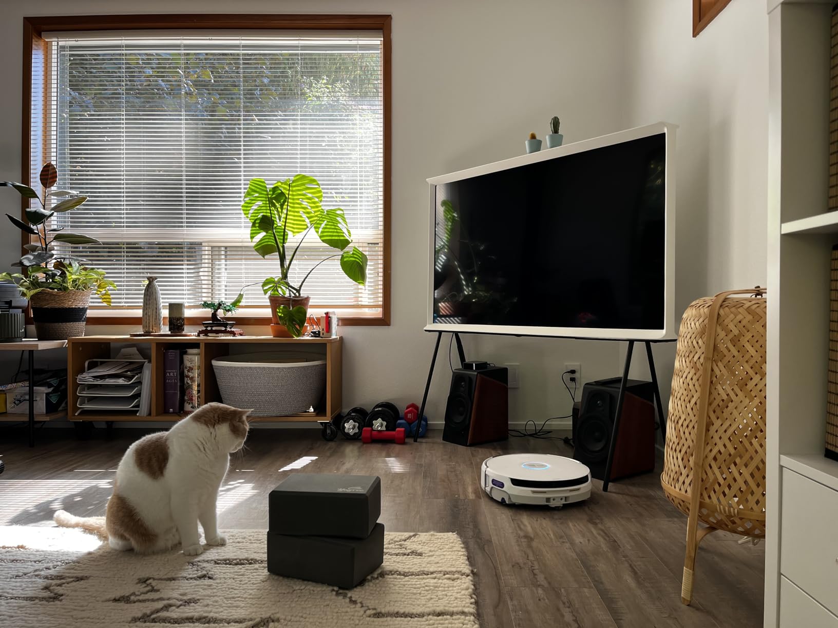 NARWAL Flow Robot Vacuum and Mop Combo, FlowWash Real-Time Self-Cleaning Track Mop, 22,000 Pa Suction, Dual-Camera AI Obstacle Avoidance, Carpet & Edge Cleaning, Self-Emptying Robot Vacuum Customer Review NARWAL Flow Robot Vacuum and Mop Combo, FlowWash Real-Time Self-Cleaning Track Mop, 22,000 Pa Suction, Dual-Camera AI Obstacle Avoidance, Carpet & Edge Cleaning, Self-Emptying Robot Vacuum - Customer Photo 1