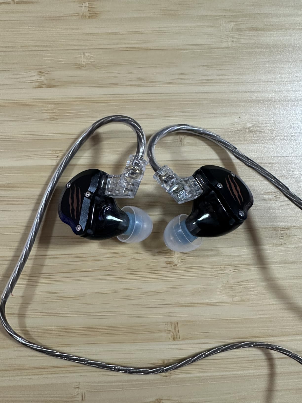In Ear Monitors Headphones, HiFi Wired Earbuds with Noise Isolating, Type-C with Microphone Earphone, IEM Headset with Detachable Recessed 2Pin Cable for Gaming, Musicians, Singer (with Mic USB-C) - Customer Photo 1