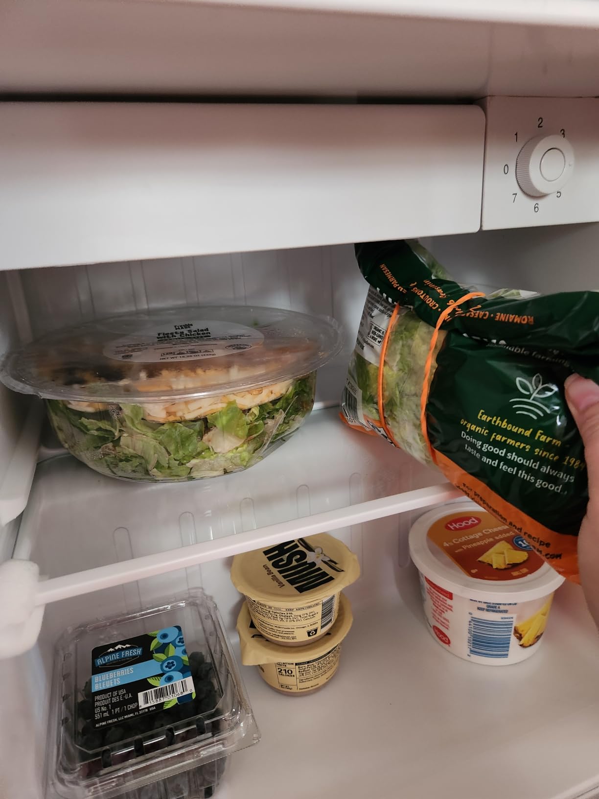 20 Cu.ft. Large Refrigerator Fridge, 2 French Door Stainless Steel with Water Dispensor, Ice Maker for the Kitchen Customer Review 20 Cu.ft. Large Refrigerator Fridge, 2 French Door Stainless Steel with Water Dispensor, Ice Maker for the Kitchen - Customer Photo 1