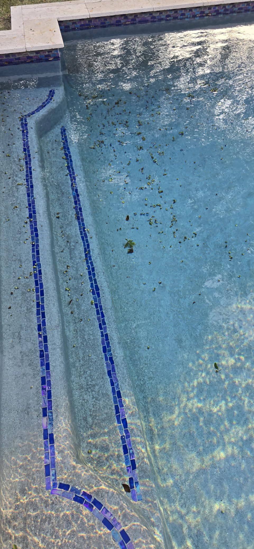 (2025 Upgrade) Aiper Scuba S1 Robotic Pool Cleaner, Wall & Waterline Cleaning, Double Filtration, Extended 180-Min Battery Life, Smart Navigation, App Support, OTA Upgrade - Customer Photo 2