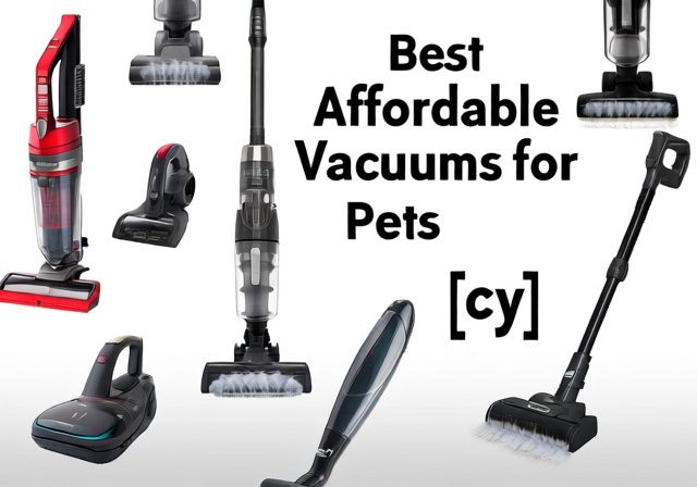 Best Affordable Vacuums for Pets [cy]: 10 Budget-Friendly Models Tested - Sixstoreys Affiliate Content Factory