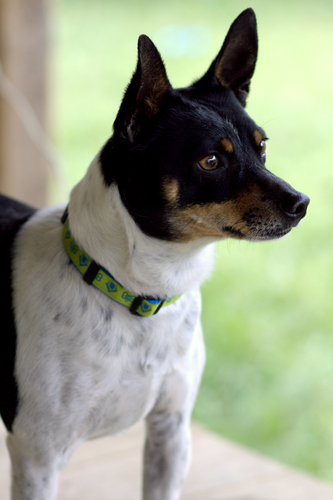 Canon EF 85mm f/1.8 USM Telephoto Lens Customer Review Canon EF 85mm f/1.8 USM Telephoto Lens - Customer Photo 4