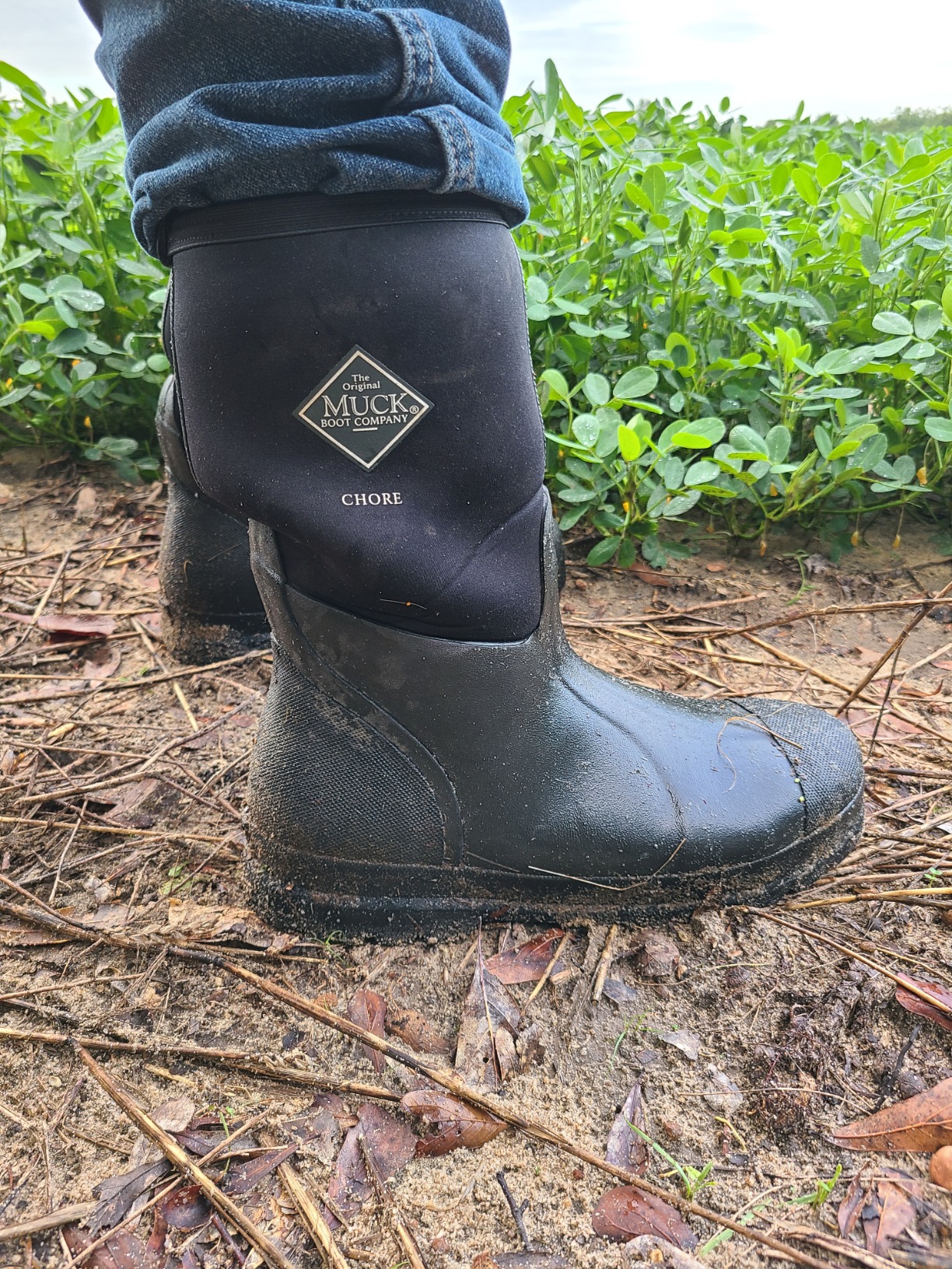 MUCK Men's Chore Classic Tall Work Boot - Customer Photo 1