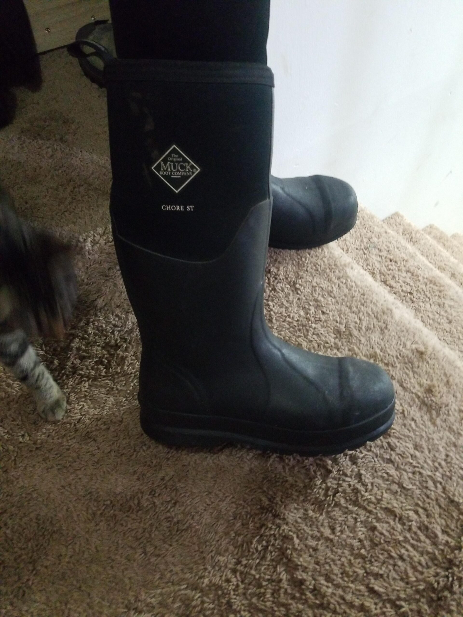 MUCK Chore Classic Men's Steel Toe Boot - Customer Photo 4