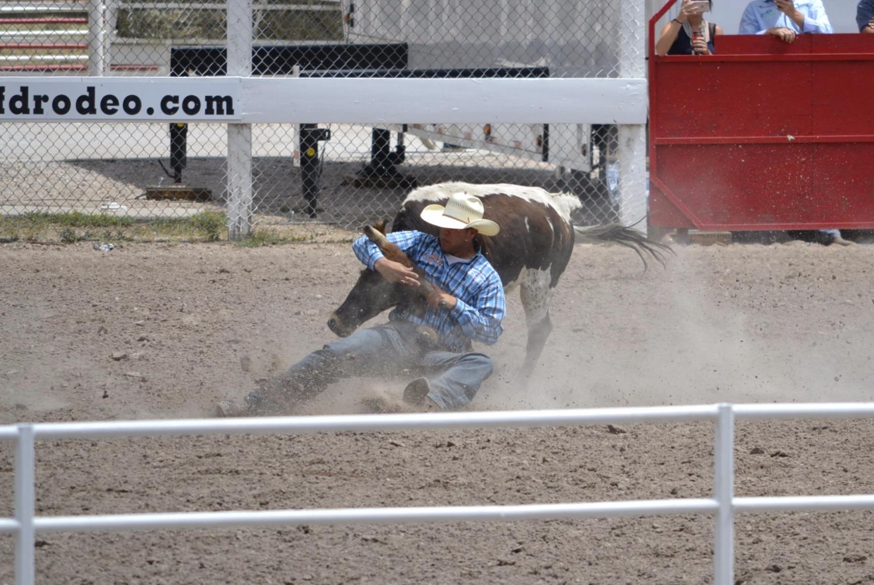 Nikon D3100 14.2MP Digital SLR Camera with 18-55mm f/3.5-5.6 Auto Focus-S DX VR Nikkor Zoom Lens - International Version (No Warranty) - Customer Photo 2