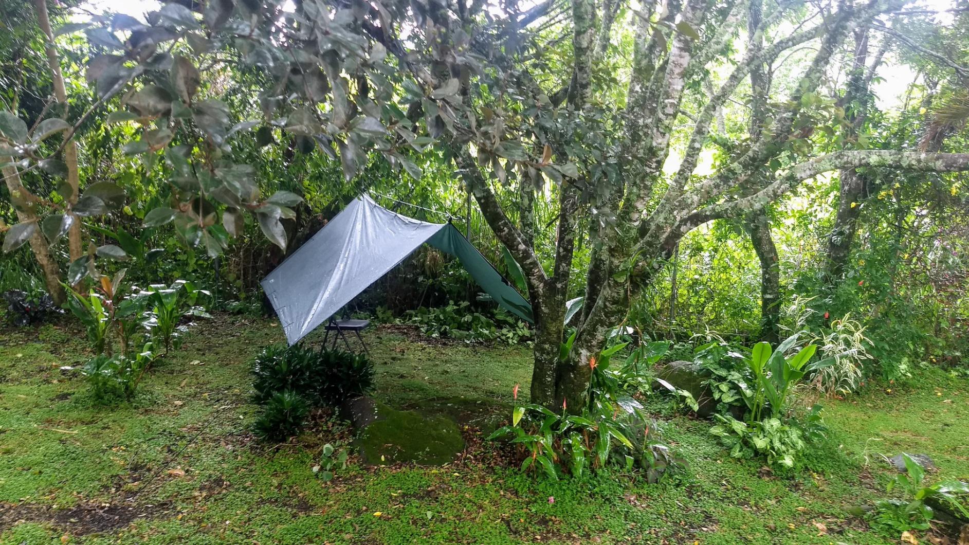DD Hammocks - DD Tarp 3x3 - Olive Green: 10ft x 10ft Customer Review DD Hammocks - DD Tarp 3x3 - Olive Green: 10ft x 10ft - Customer Photo 1