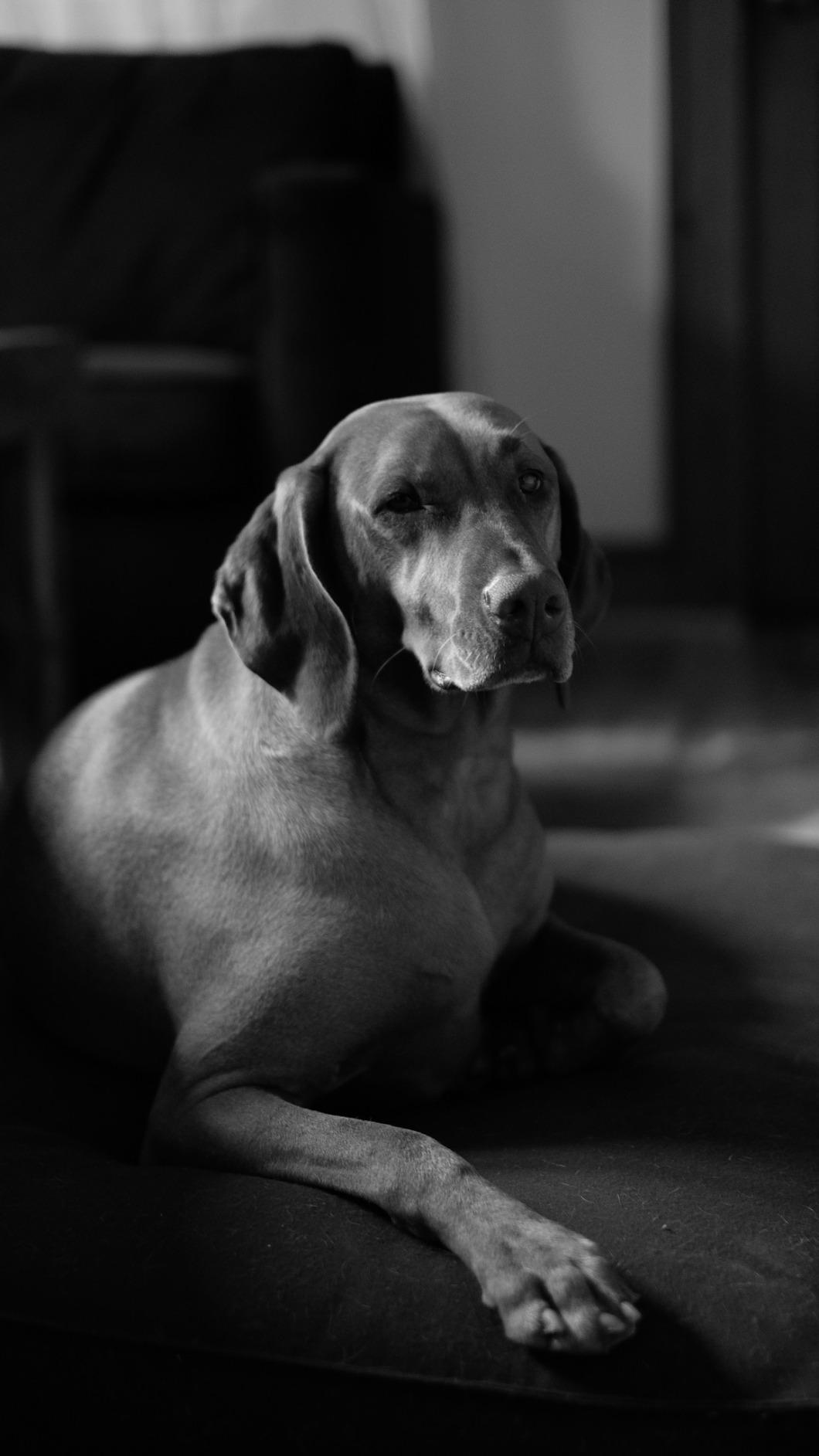 Fujifilm XF35mmF1.4 R Customer Review Fujifilm XF35mmF1.4 R - Customer Photo 2