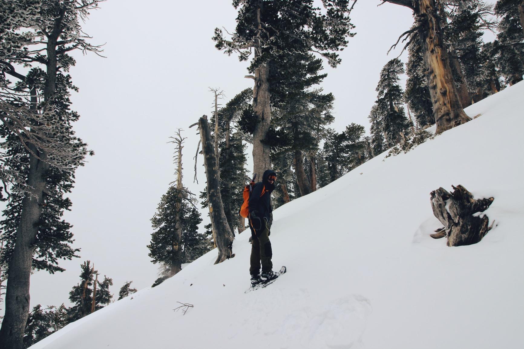 MSR Evo Ascent Backcountry & Mountaineering Snowshoes, 22 Inch Pair - Customer Photo 2