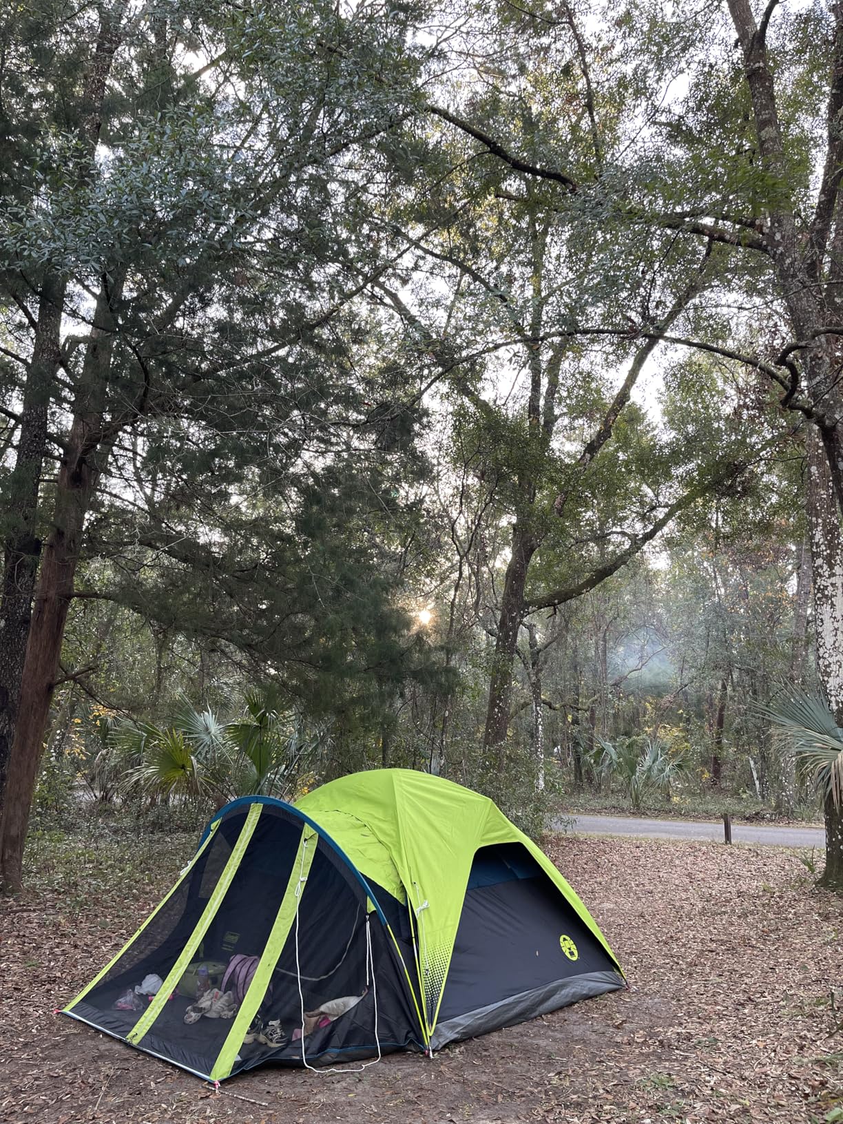 Coleman Carlsbad Dark Room Tent with Screened Porch, 4/6 Person Tent Blocks 90% of Sunlight to Keep Inside Cool, Weatherproof Shelter with Easy Setup, Made of PFAS-Free Materials - Customer Photo 2