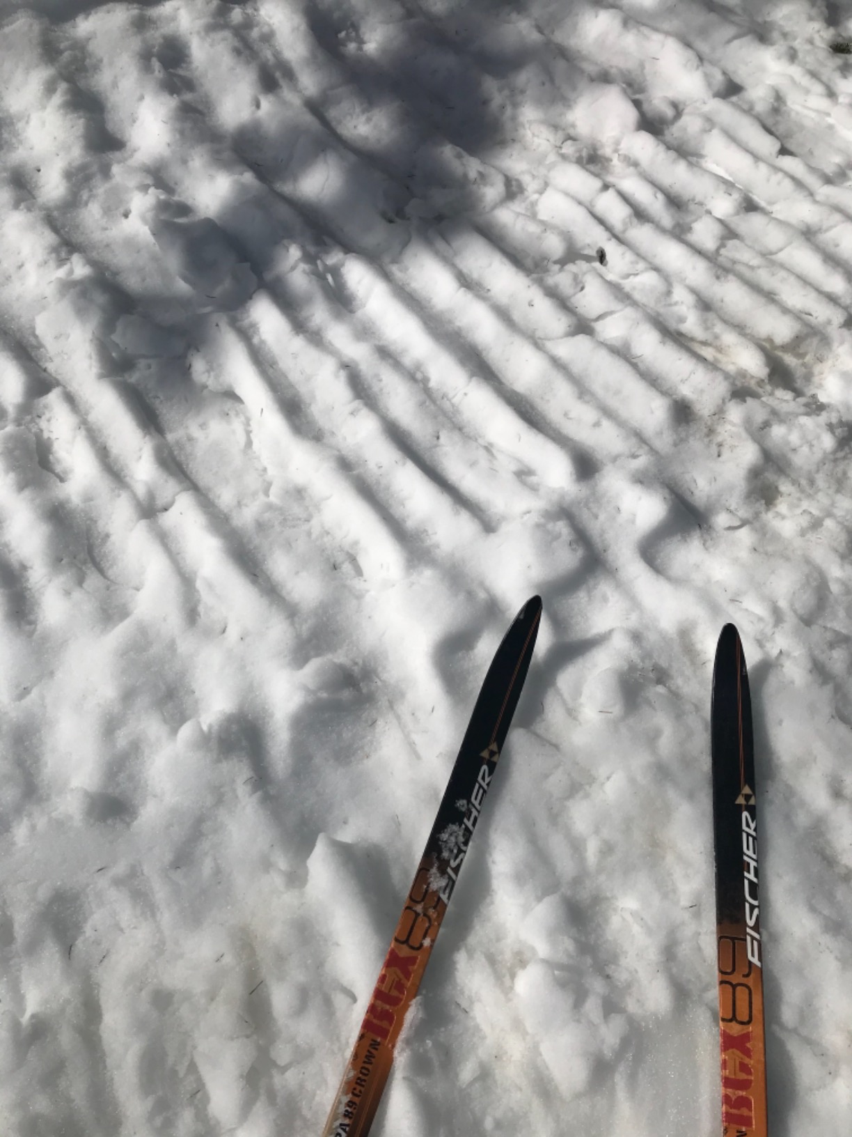 Ski Wax Maxiglide XC Quick Wax For all Cross Country Nordic Skis - 4fl oz container - Customer Photo 2