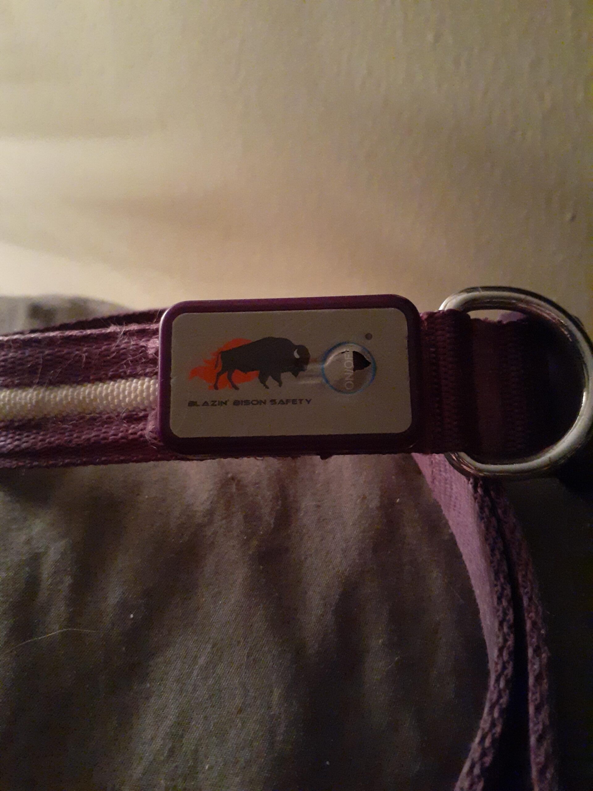 Blazin Light Up Dog Collar - The Original LED Dog Collar - USB Rechargeable - Waterproof - 1,000 Feet of Visibility - Dog Collar Light for Small, Medium, Large Dogs - USA Brand - Customer Photo 2