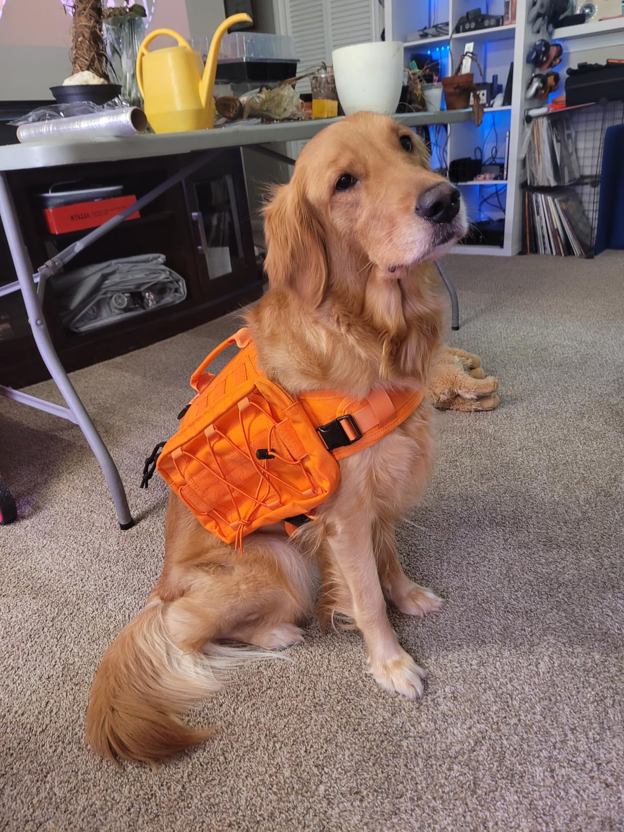 ONETIGRIS Dog Backpack for Medium & Large Dogs, Nylon Backpack for Dogs Tactical Pet Backpack with Side Pockets for Hiking Walking Training Running (Brown, Medium) - Customer Photo 1