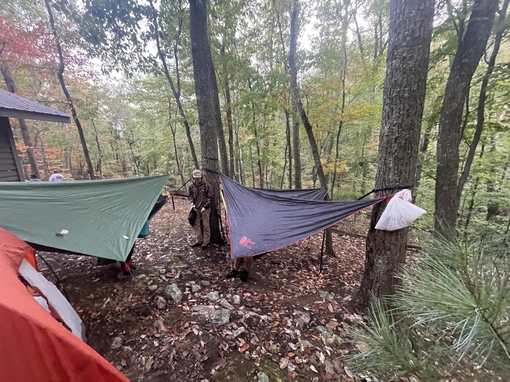 Bear Butt Hammock Rain Fly & Camping Tarp - 11 x 9 ft Ultralight Waterproof Tarp for Hammock & Tent Camping - Easy to Set Up - Customer Photo 1