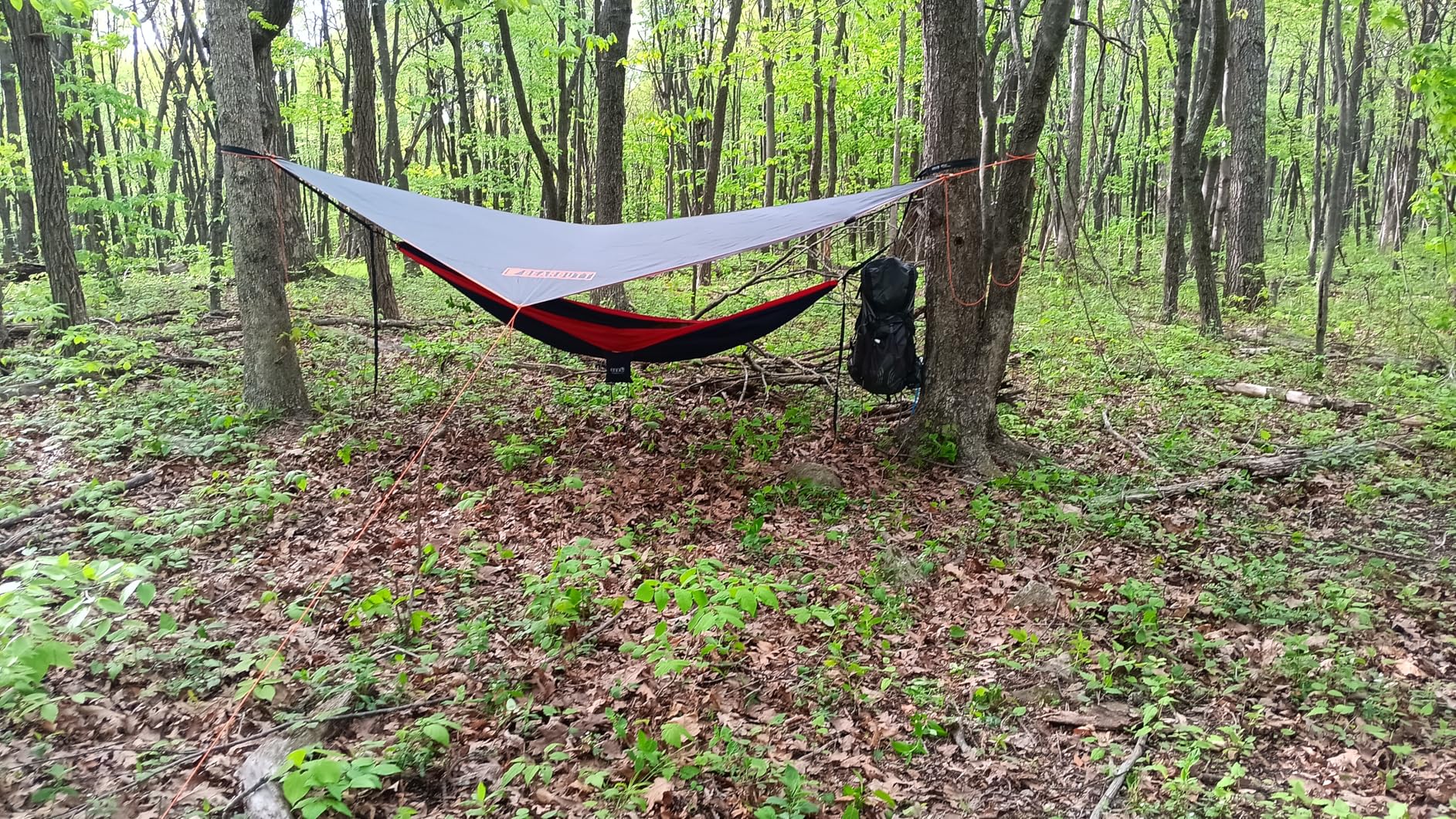 Bear Butt Hammock Rain Fly & Camping Tarp - 11 x 9 ft Ultralight Waterproof Tarp for Hammock & Tent Camping - Easy to Set Up - Customer Photo 2