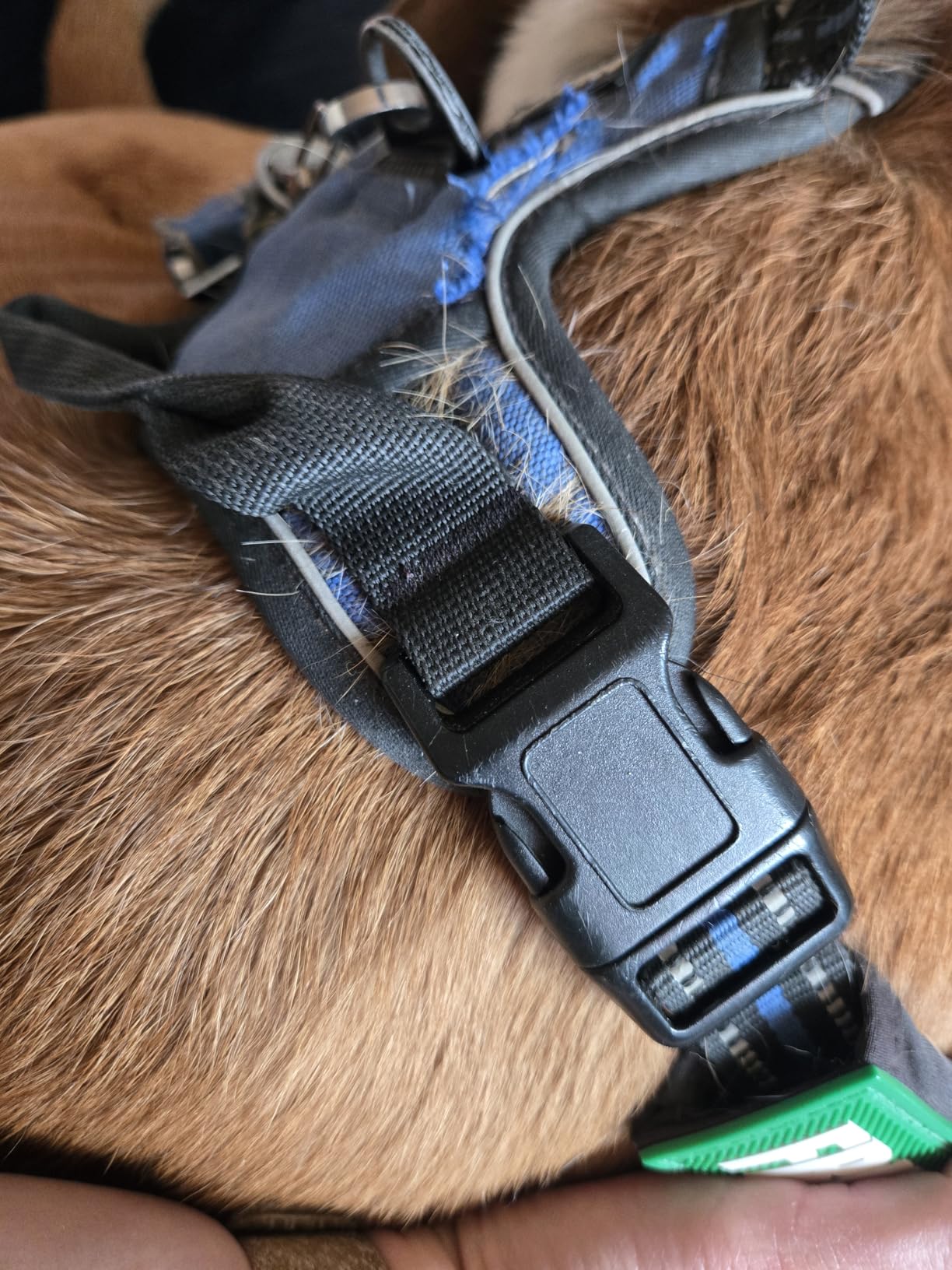 rabbitgoo Dog Harness No Pull with 2 Leash Clips, Adjustable Soft Padded, Reflective Oxford No Choke Pet Vest with Easy Control Handle for Large Dogs, Black, L - Customer Photo 3