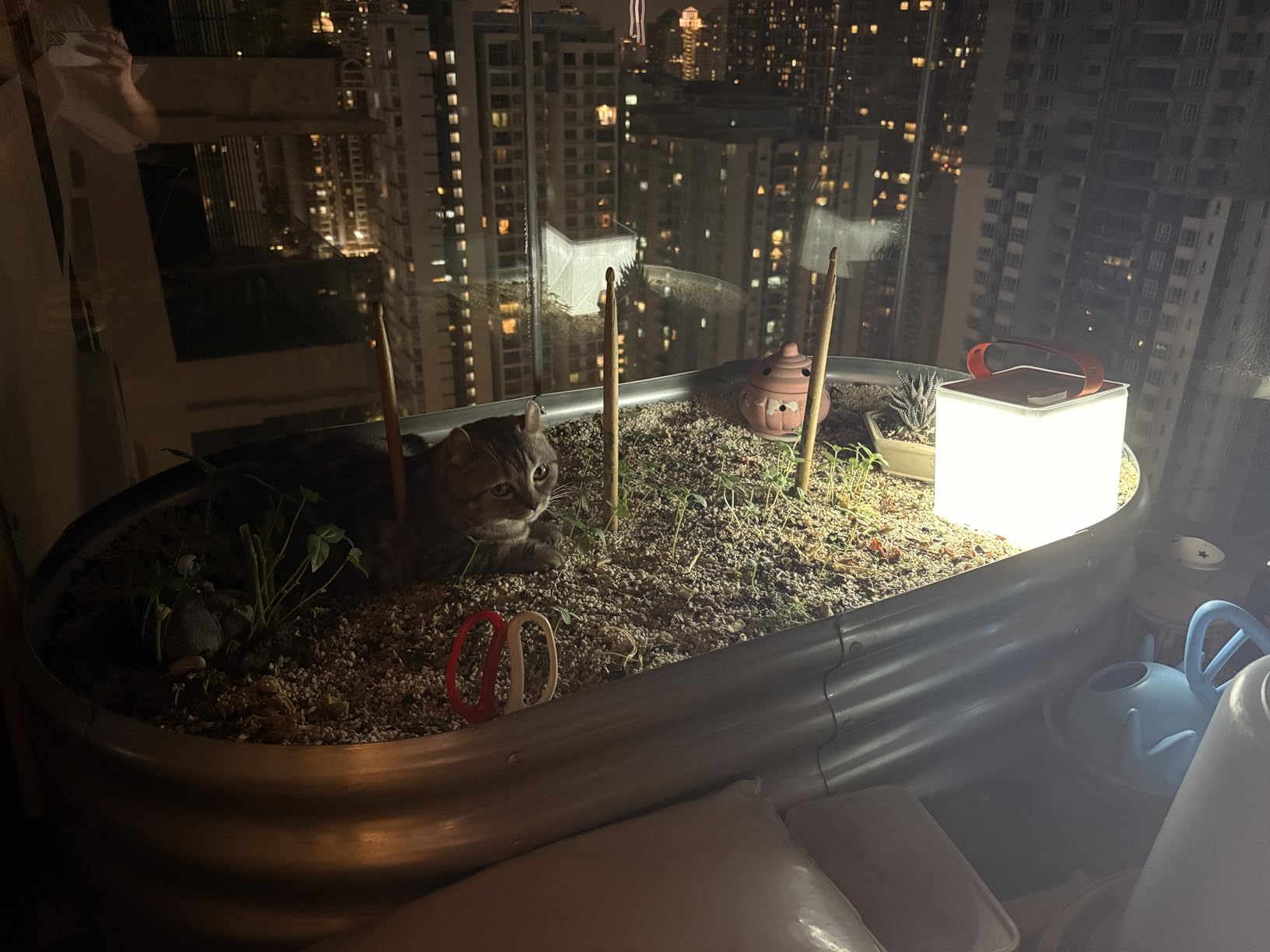 LuminAID Solar Camping Lantern - Inflatable LED Lamp Perfect for Camping, Hiking, Travel and More - Emergency Light for Power Outages, Hurricane, Survival Kits - As Seen on Shark Tank customer photo 2