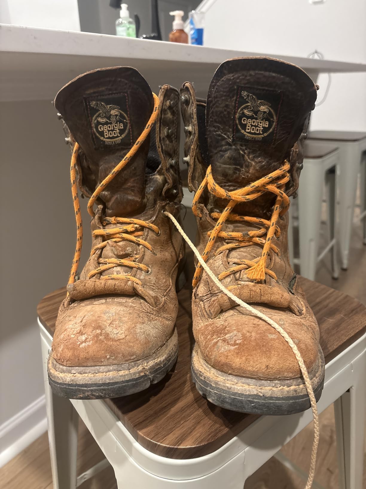 Mercury + Maia Honey Badger Boot Laces, USA Made Indestructible Shoelaces, Round Heavy Duty Bootlaces for Work & Hiking - Customer Photo 1