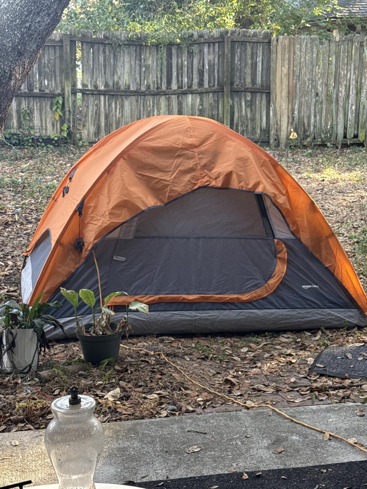 Amazon Basics Camping Tent, 3-Season Dome Design with Rainfly - Customer Photo 1