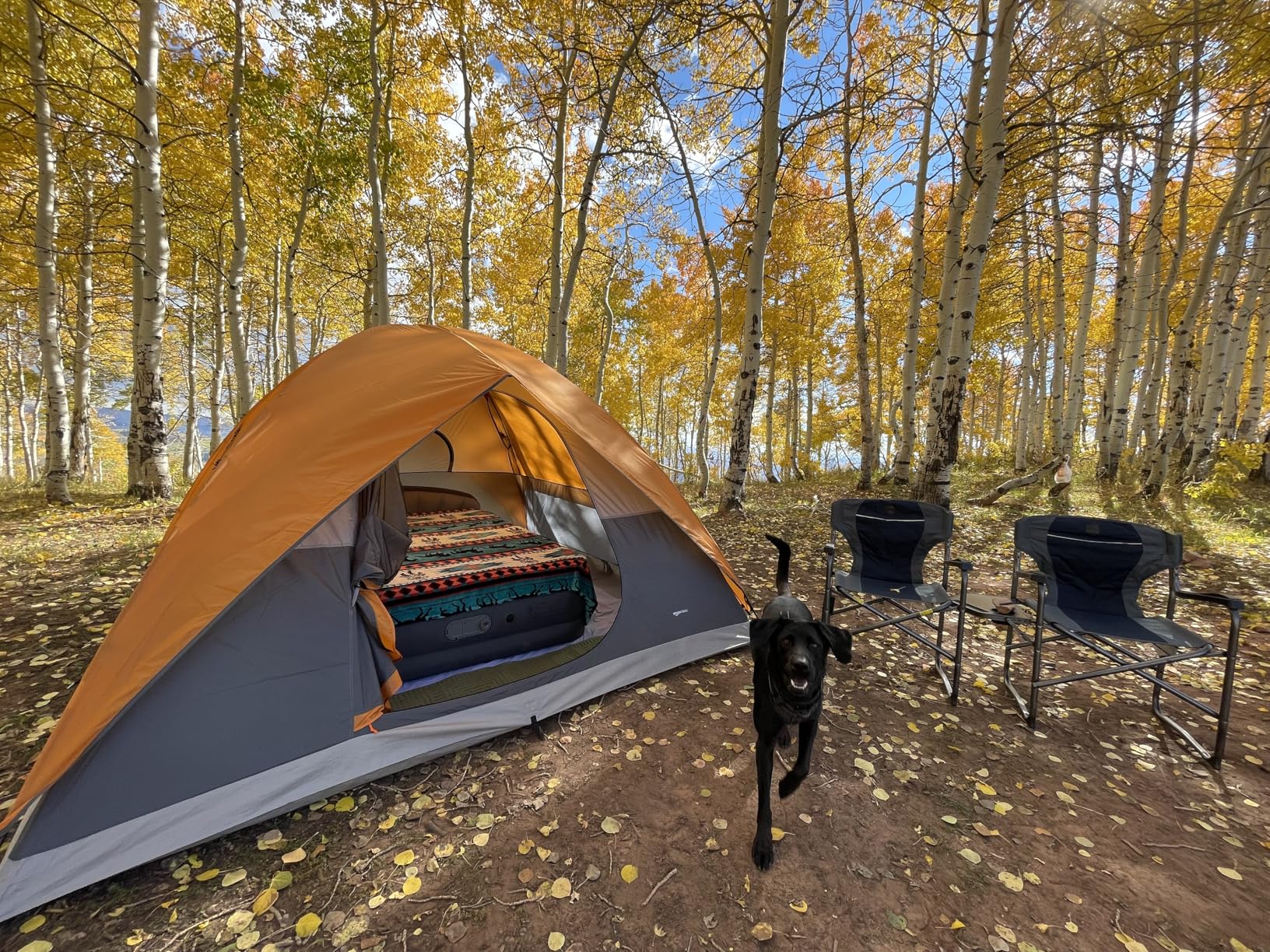 Amazon Basics Camping Tent, 3-Season Dome Design with Rainfly - Customer Photo 2