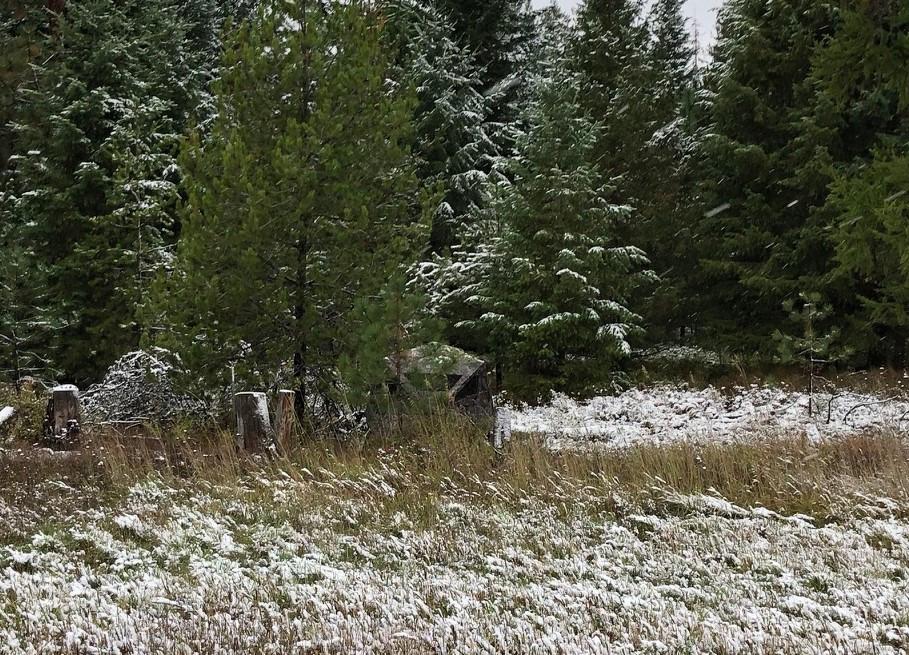 Ameristep Care Taker Kick Out Pop-Up Ground Blind, Premium Hunting Blind - Customer Photo 2