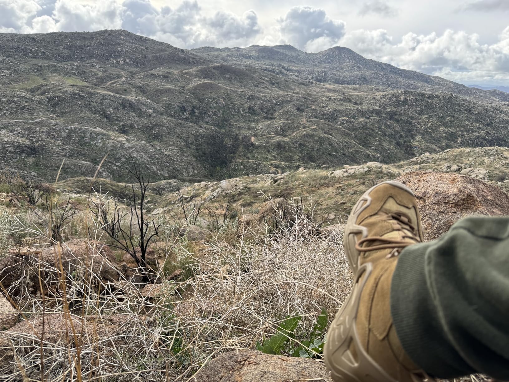 Lowa Men's Zephyr GTX Mid TF Hiking Boot - Customer Photo 2