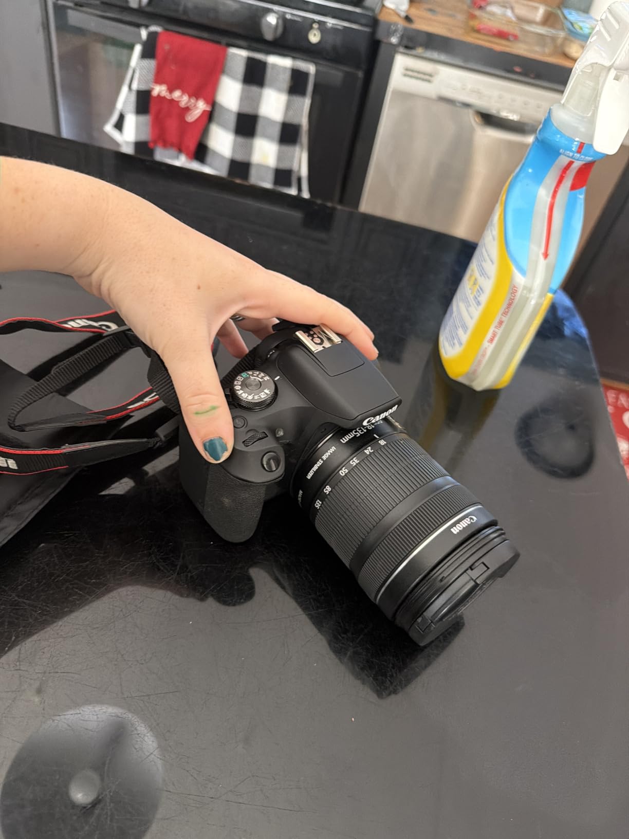 Canon EF-S 18-135mm f/3.5-5.6 IS STM Lens (Renewed) Customer Review Canon EF-S 18-135mm f/3.5-5.6 IS STM Lens (Renewed) - Customer Photo 2