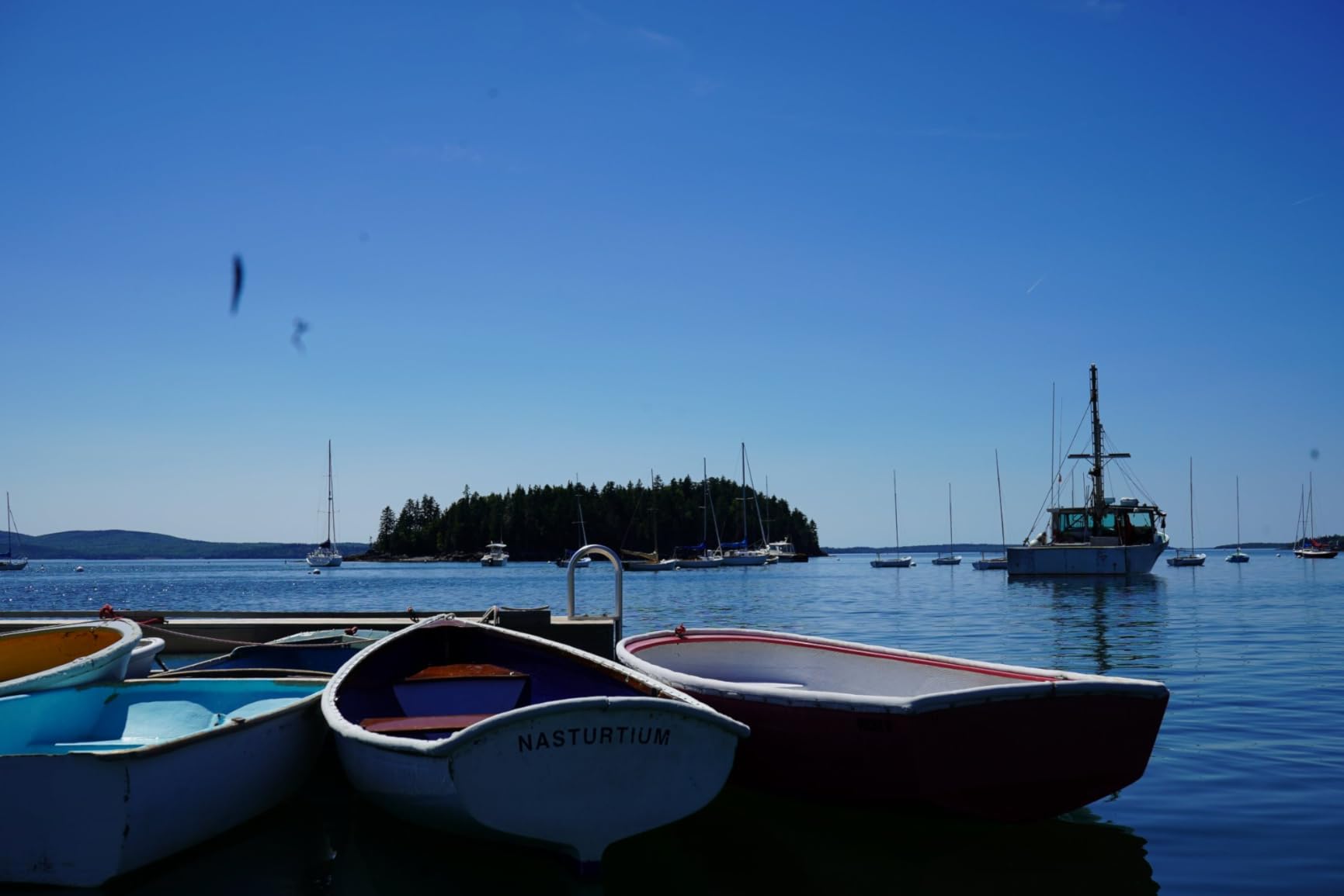 Sony a7 III Full-Frame Mirrorless Camera with 28-70mm Lens Customer Review Sony a7 III Full-Frame Mirrorless Camera with 28-70mm Lens - Customer Photo 1