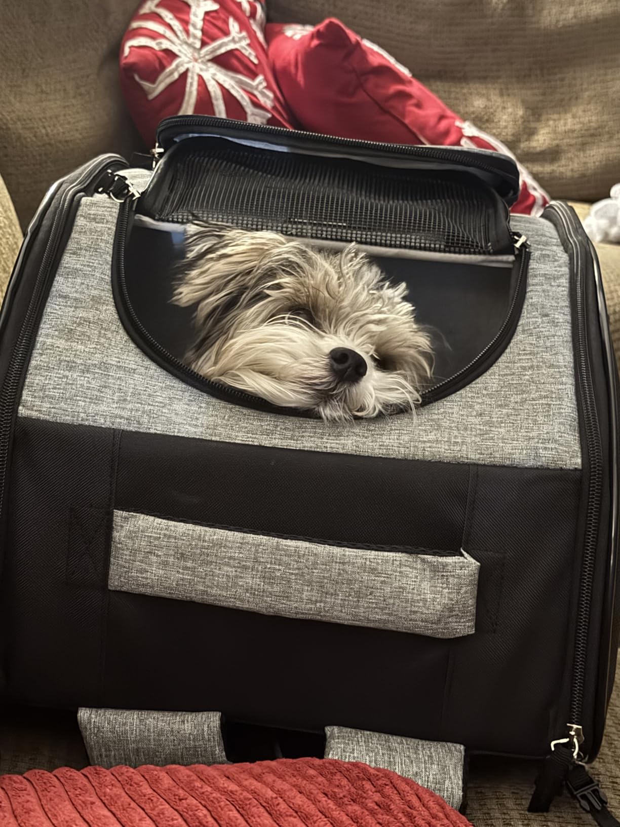 PetAmi Dog Backpack Carrier, Ventilated Pet Hiking Backpack Travel Bag, Airline Approved, Up to 18lbs, Grey customer photo 1