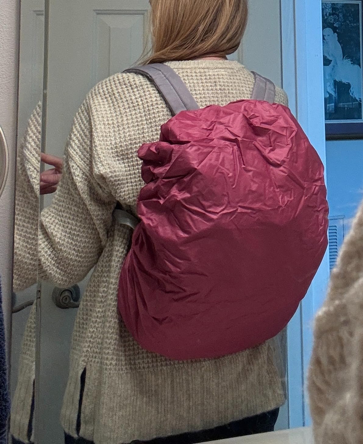 Frelaxy Waterproof Backpack Rain Cover, 10000mm Waterproof Level - Customer Photo 1