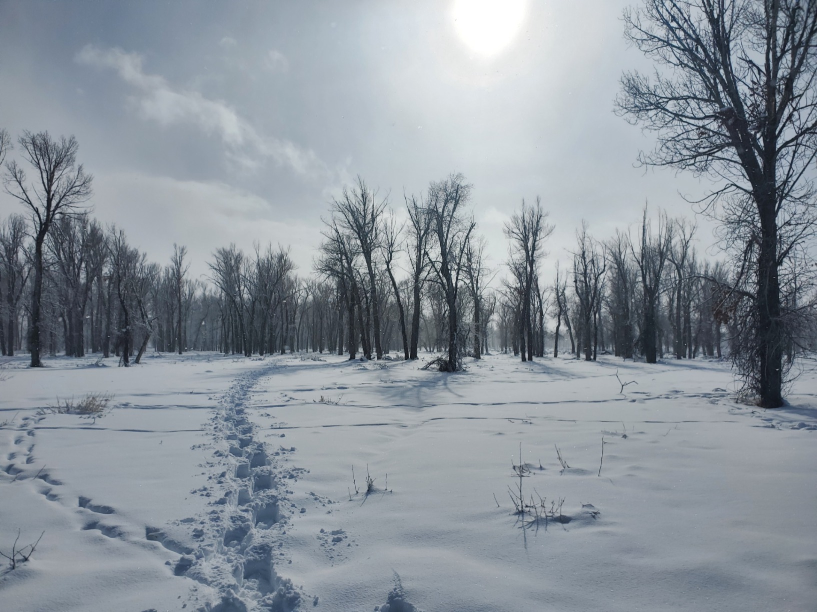 Yukon Charlie's Sherpa Snowshoe for Men & Women - Customer Photo 2