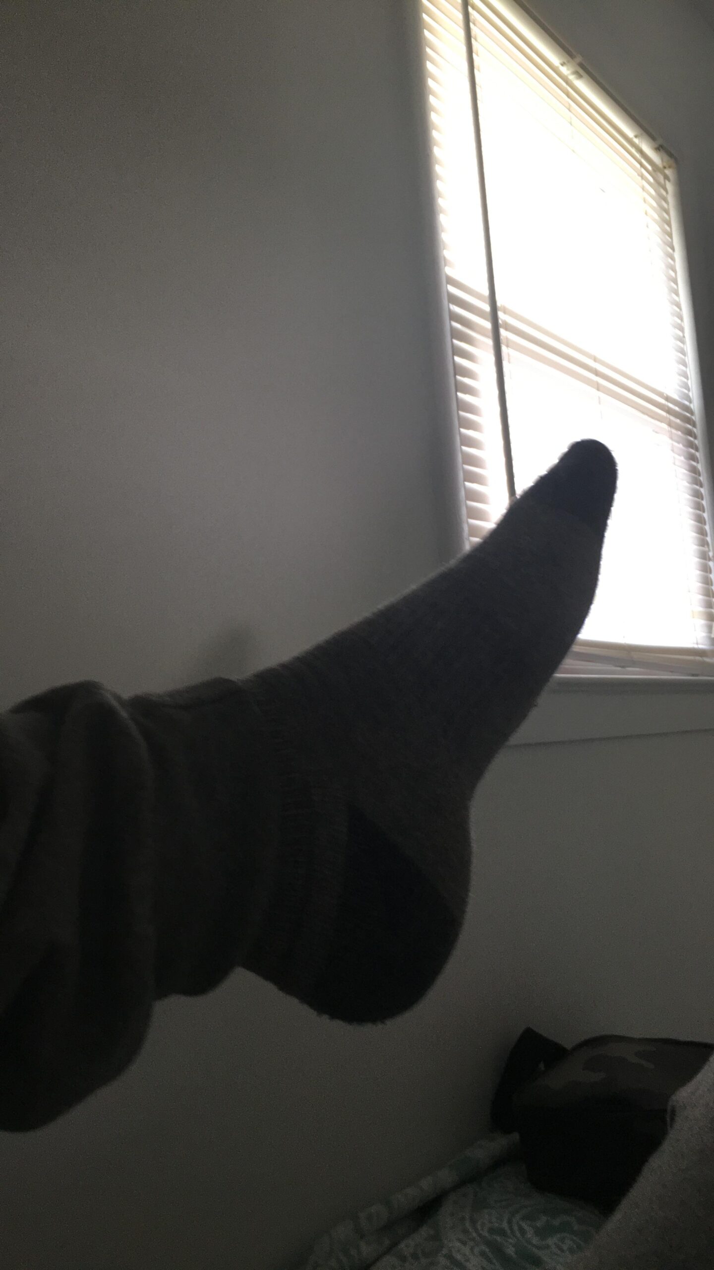 Merrell Unisex Adult Wool Hiking Crew Socks (3-Pack) Customer Review Merrell Unisex Adult Wool Hiking Crew Socks (3-Pack) - Customer Photo 2