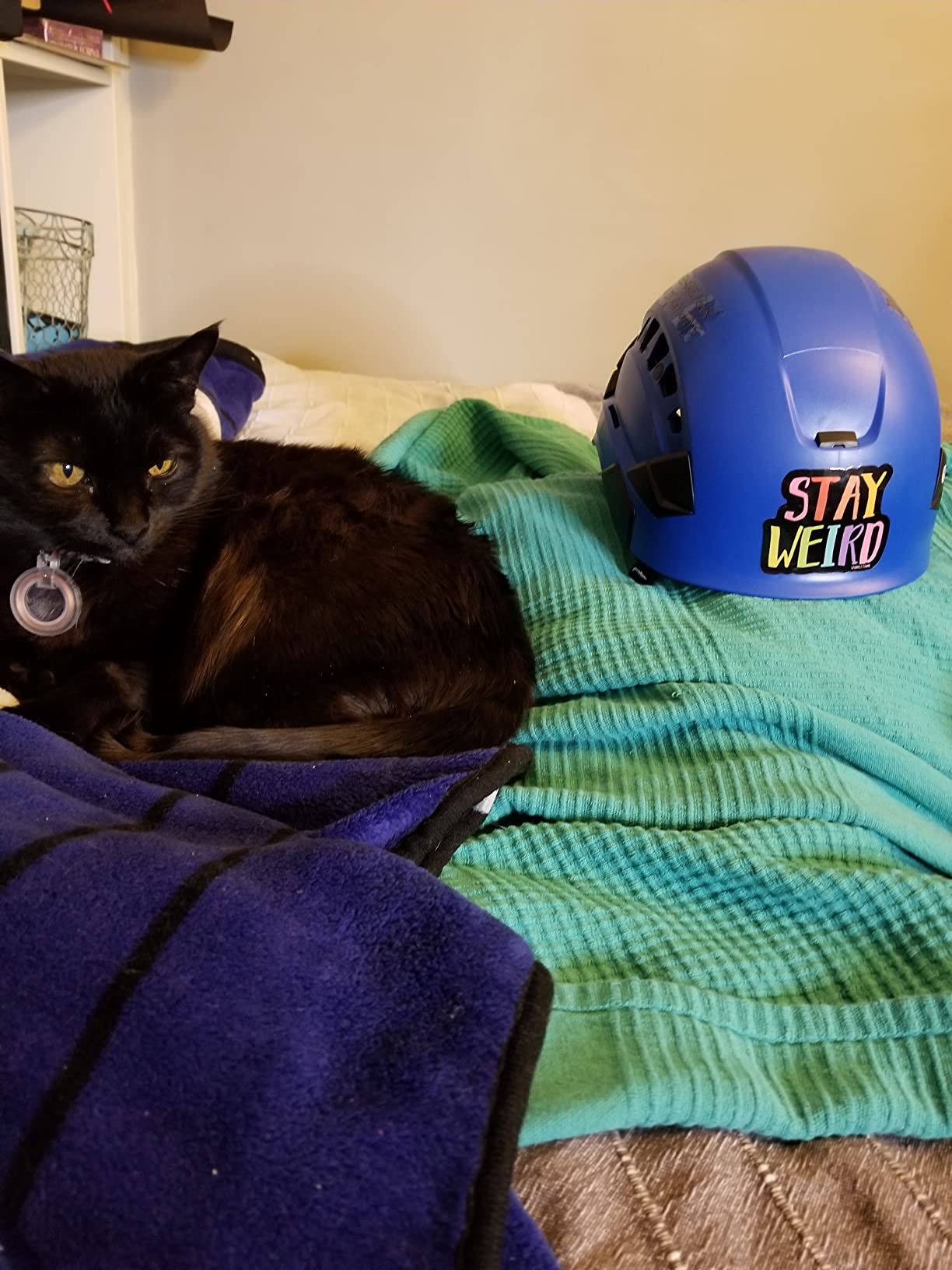 PETZL Vertex Vent Helmet for Work and Rescue - Customer Photo 2