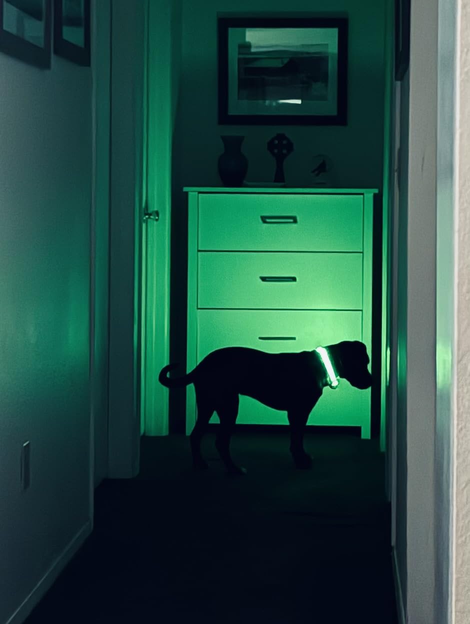 Flashseen LED Dog Collar, Light Up Dog Collar Lights USB Rechargeable, Adjustable Comfortable Soft Mesh Safety Collar for Small, Medium, Large Dogs(Large, Neon Green) - Customer Photo 1