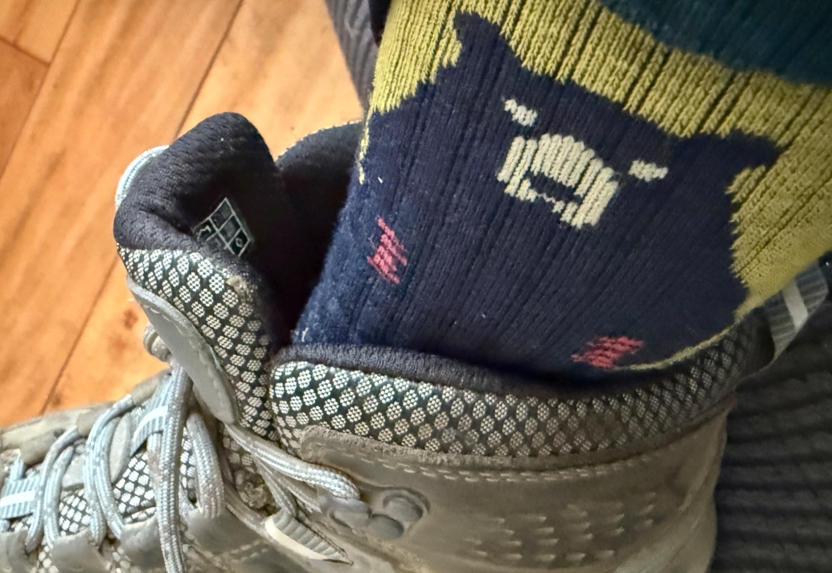 Darn Tough Women's Bear Town Micro Crew Lightweight with Cushion Sock (Style 1970) - Customer Photo 2