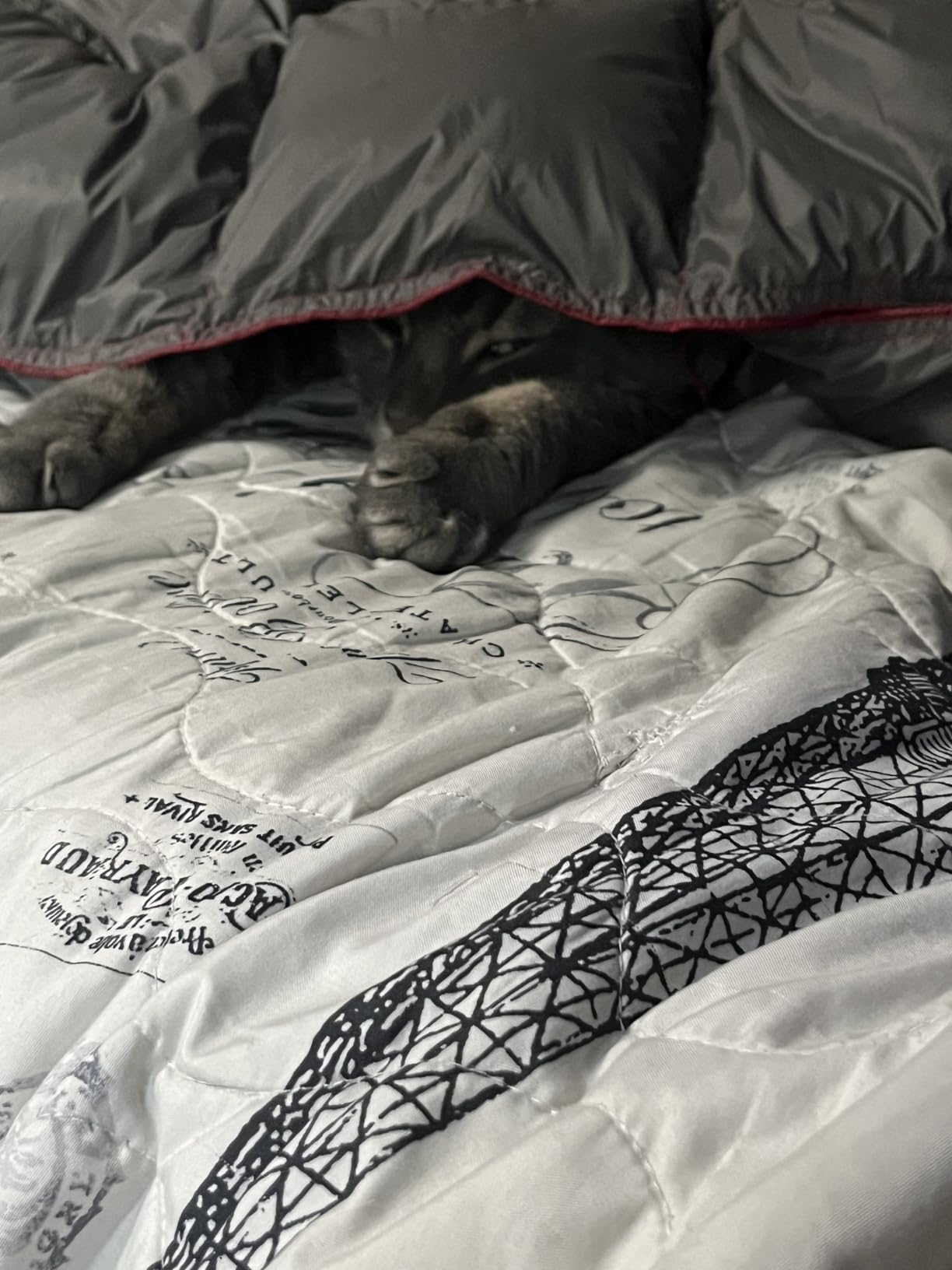 Get Out Gear Down Camping Blanket - Puffy, Packable, Lightweight and Warm | Ideal for Outdoors, Travel, Stadium, Festivals, Beach, Hammock | 650 Fill Power Water-Resistant Backpacking Quilt Customer Review Get Out Gear Down Camping Blanket - Puffy, Packable, Lightweight and Warm | Ideal for Outdoors, Travel, Stadium, Festivals, Beach, Hammock | 650 Fill Power Water-Resistant Backpacking Quilt - Customer Photo 1